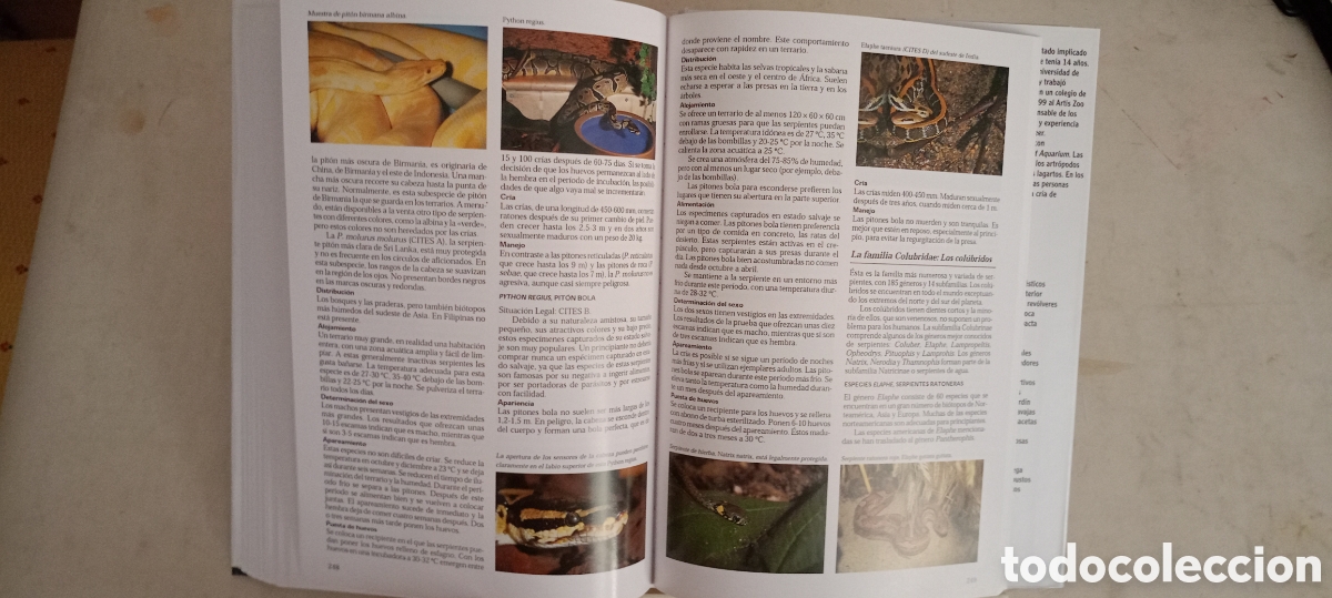 Libros de segunda mano: LA ENCICLOPEDIA DEL TERRARIO Eugene Bruins - Foto 12