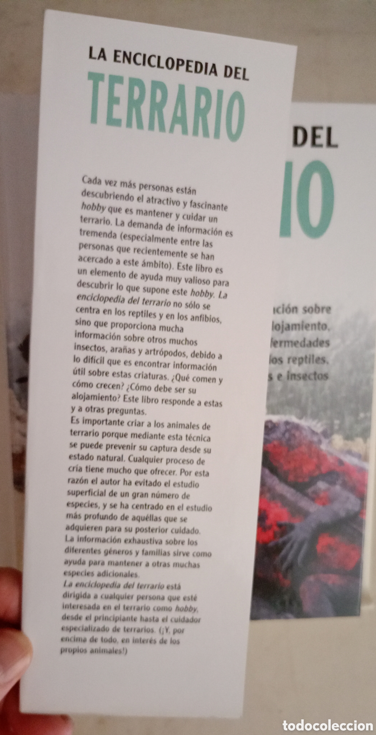 Libros de segunda mano: LA ENCICLOPEDIA DEL TERRARIO Eugene Bruins - Foto 2