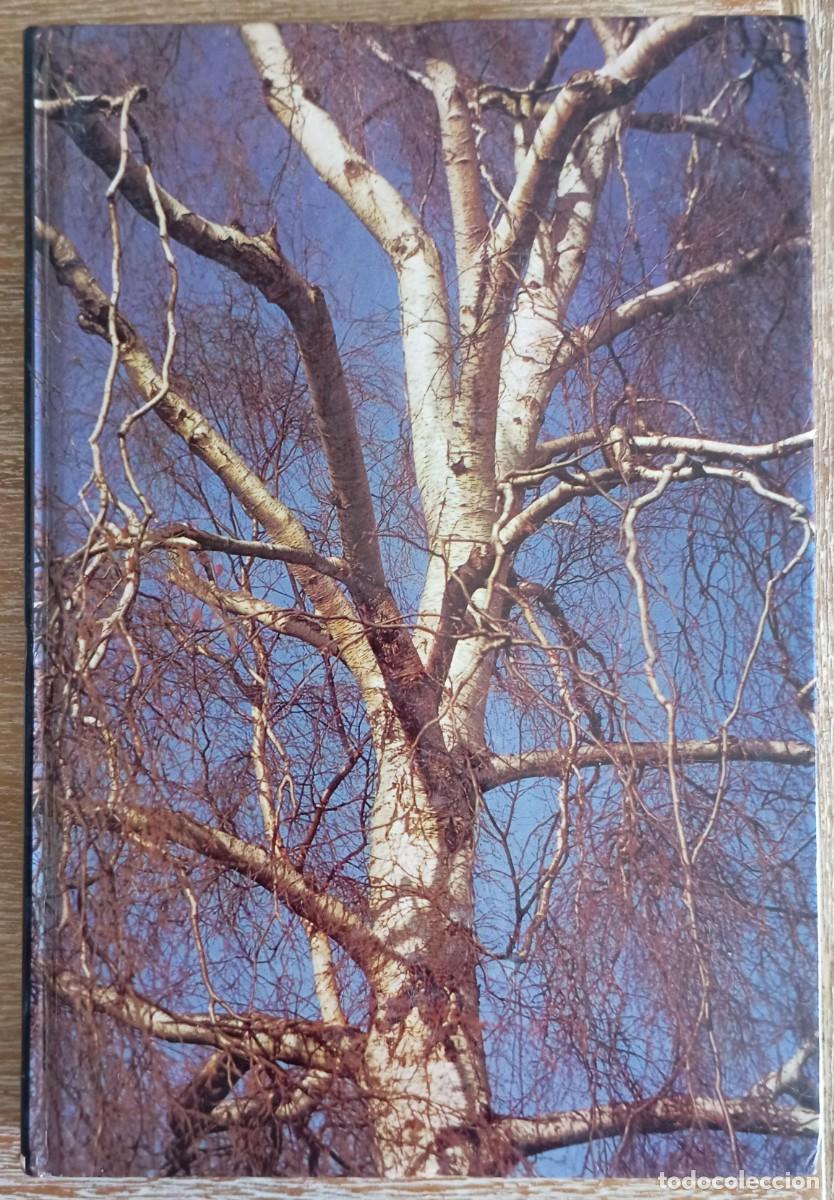 Libros de segunda mano: ARBOLES Y ARBUSTOS DE EUROPA - OLEG POLUNIN - Foto 1