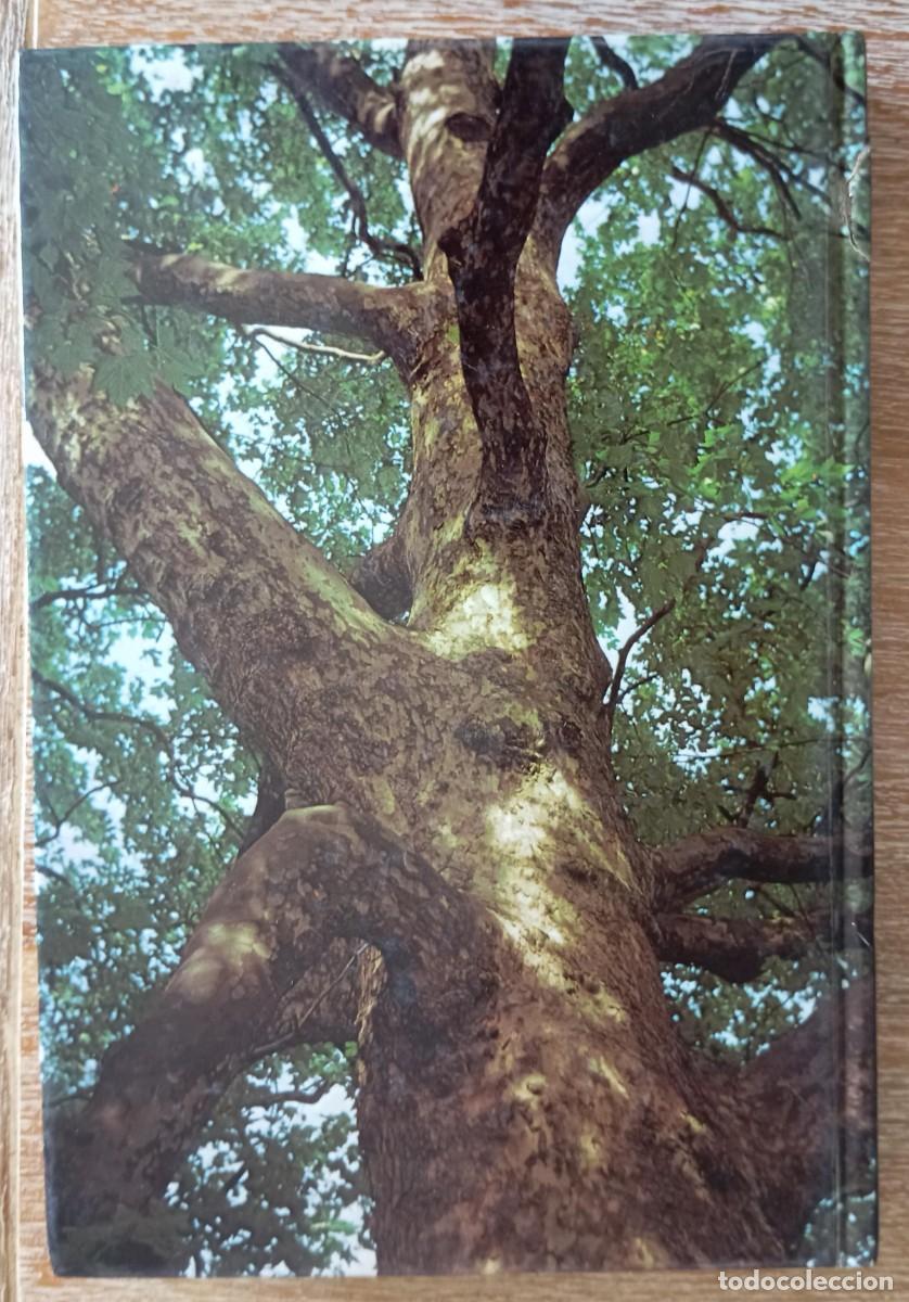 Libros de segunda mano: ARBOLES Y ARBUSTOS DE EUROPA - OLEG POLUNIN - Foto 5