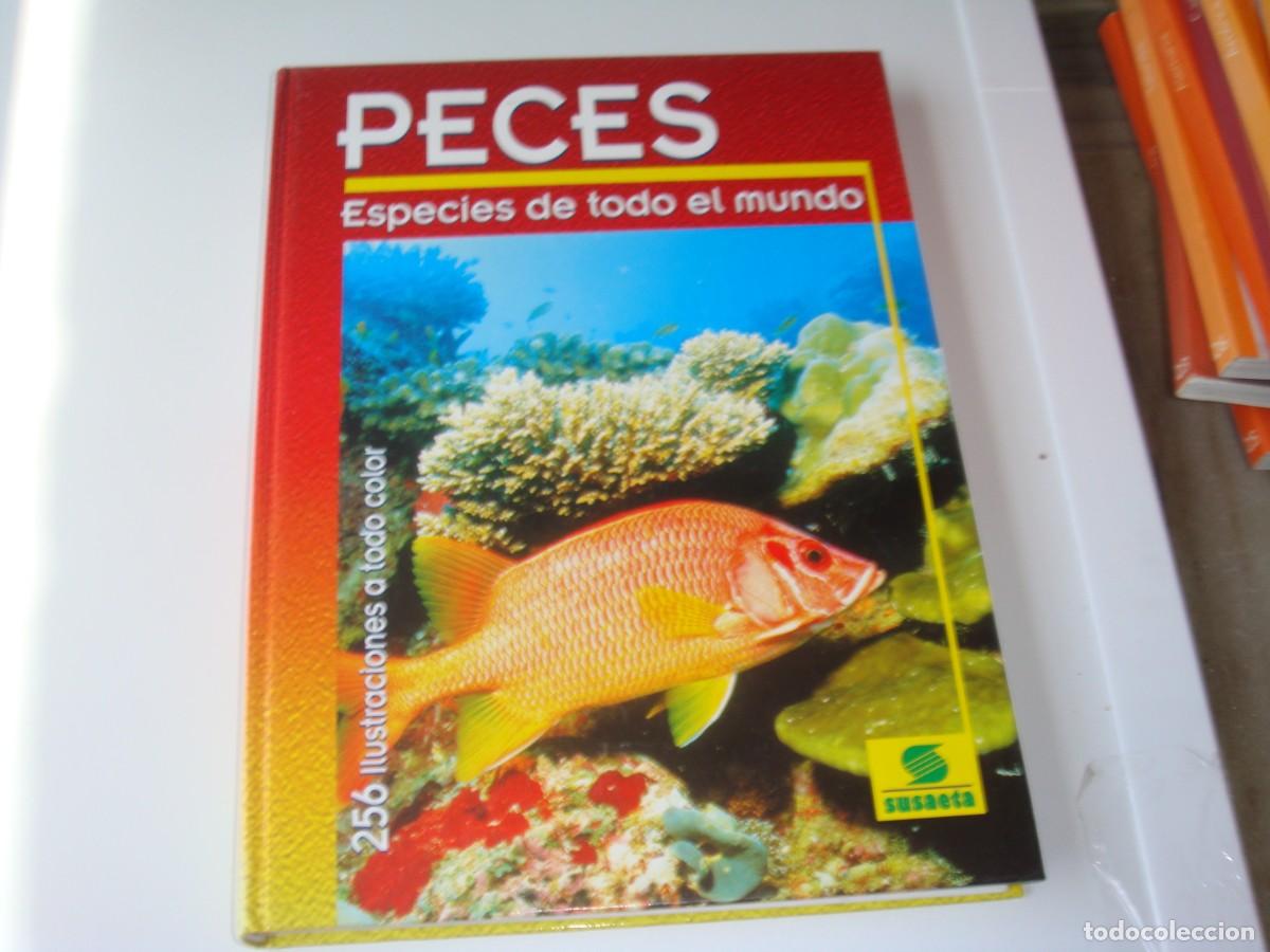 Libros de segunda mano: PECES ESPECIES DE TODO EL MUNDO - Foto 1