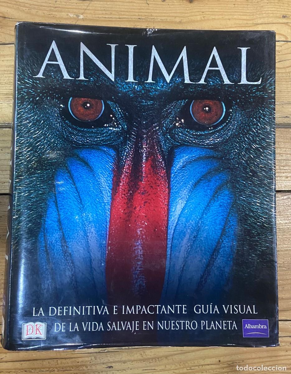 Libros de segunda mano: Animal de D. Kindersley - Foto 1