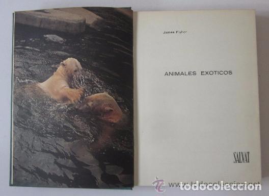 Libros de segunda mano: ANIMALES EXOTICOS - JAMES FISCHER - Foto 2