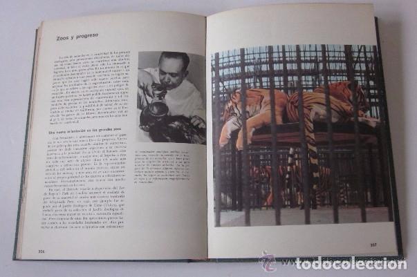 Libros de segunda mano: ANIMALES EXOTICOS - JAMES FISCHER - Foto 4