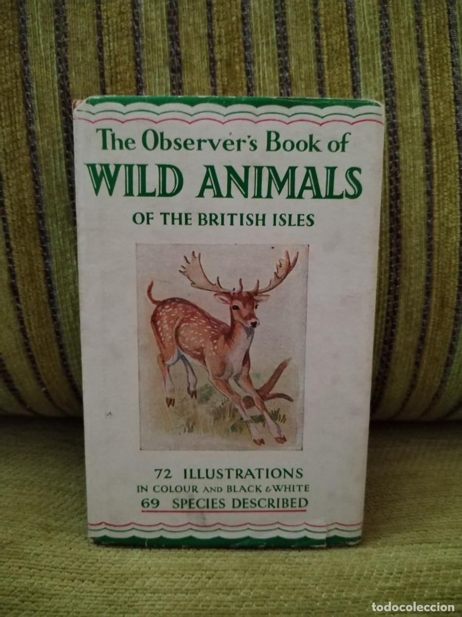 Libros de segunda mano: WILD ANIMALS LIBRO consulta - Foto 1