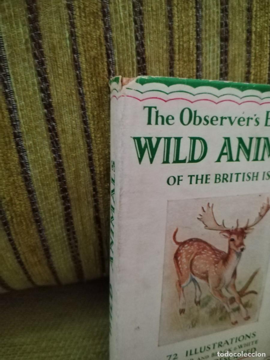 Libros de segunda mano: WILD ANIMALS LIBRO consulta - Foto 7