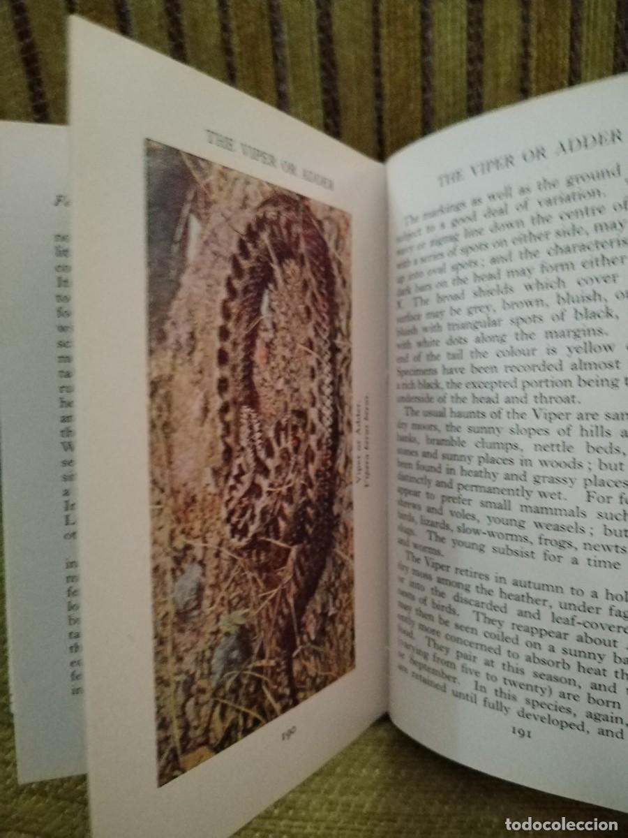 Libros de segunda mano: WILD ANIMALS LIBRO consulta - Foto 10