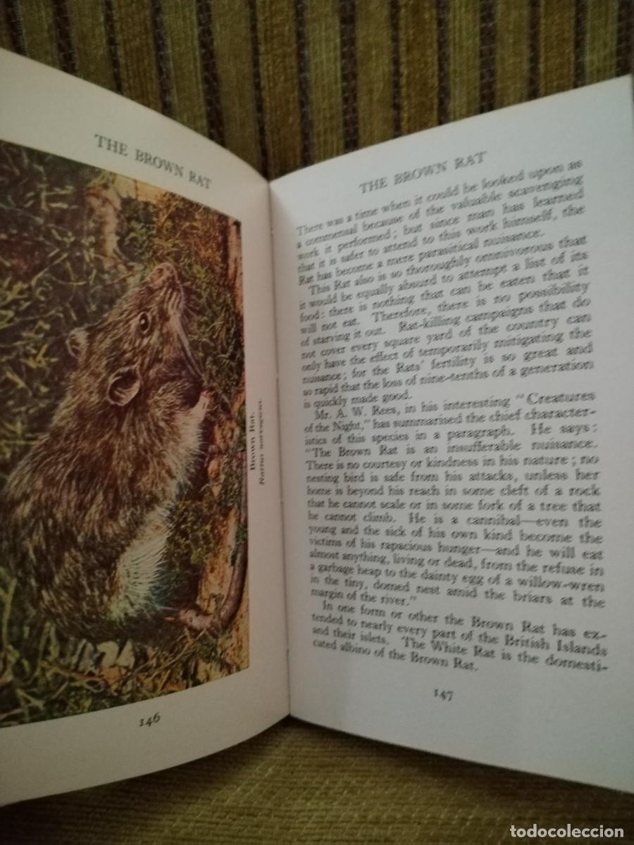Libros de segunda mano: WILD ANIMALS LIBRO consulta - Foto 11