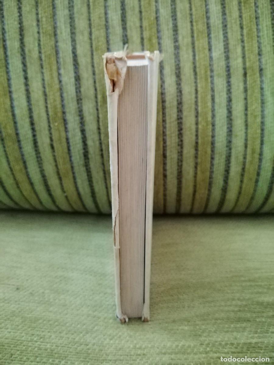 Libros de segunda mano: BIRDS LIBRO CONSULTA - Foto 4