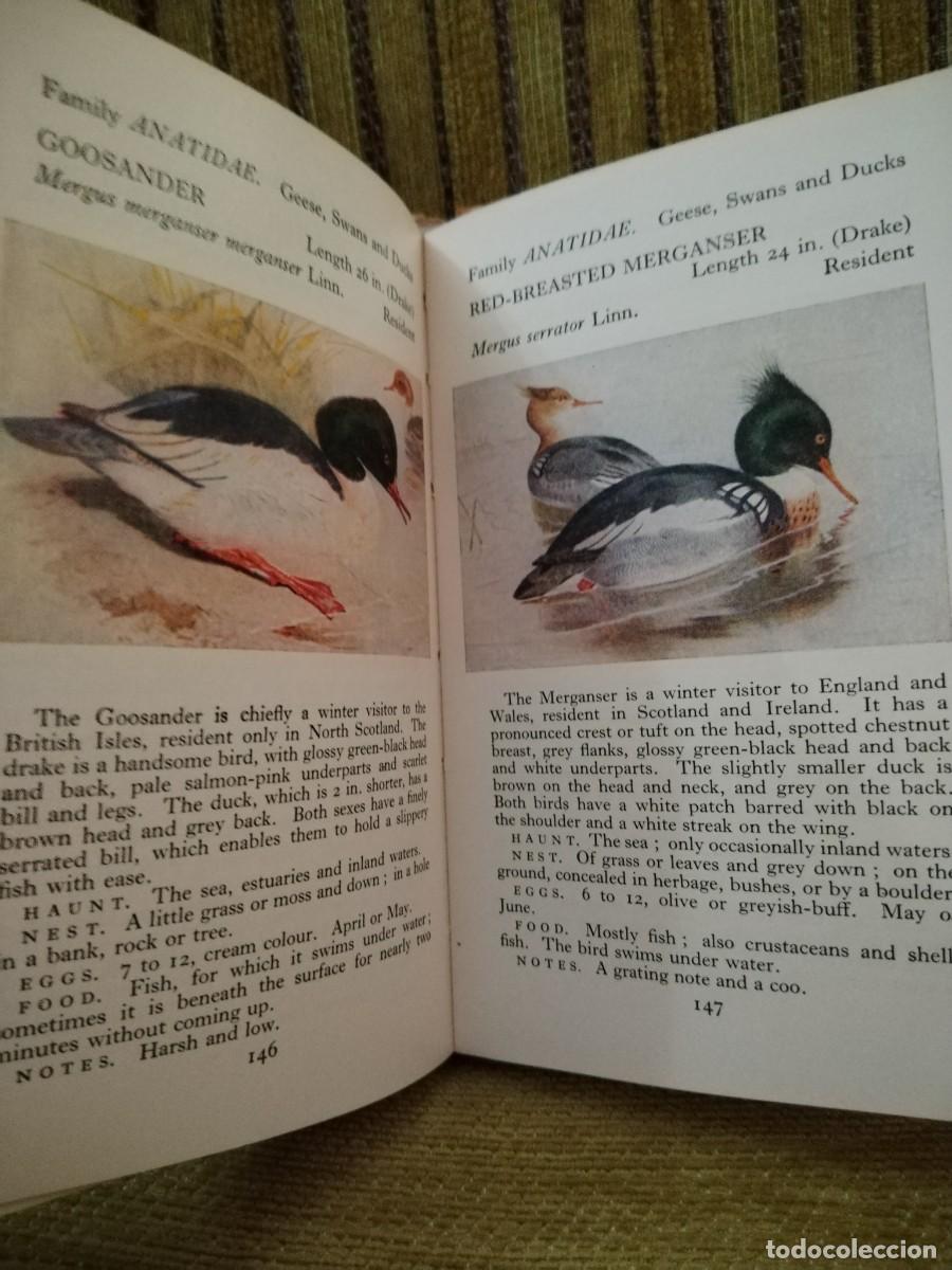 Libros de segunda mano: BIRDS LIBRO CONSULTA - Foto 9