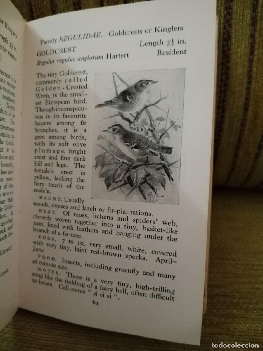 Libros de segunda mano: BIRDS LIBRO CONSULTA - Foto 10