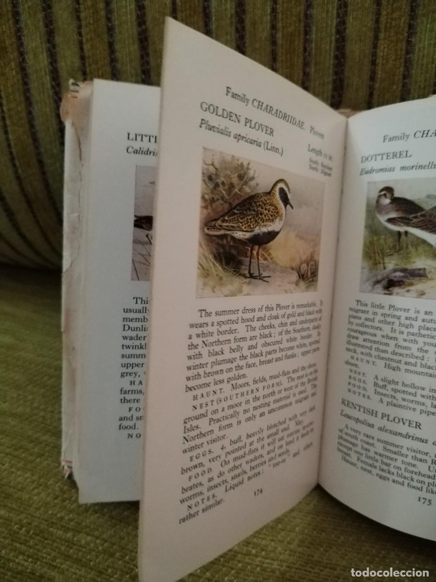 Libros de segunda mano: BIRDS LIBRO CONSULTA - Foto 11