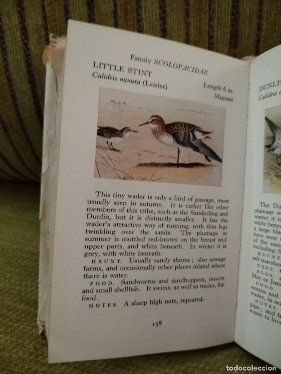 Libros de segunda mano: BIRDS LIBRO CONSULTA - Foto 12