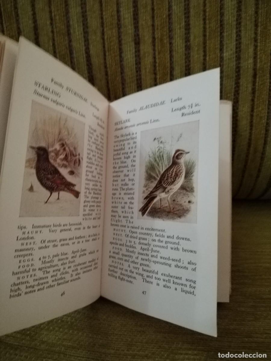 Libros de segunda mano: BIRDS LIBRO CONSULTA - Foto 14