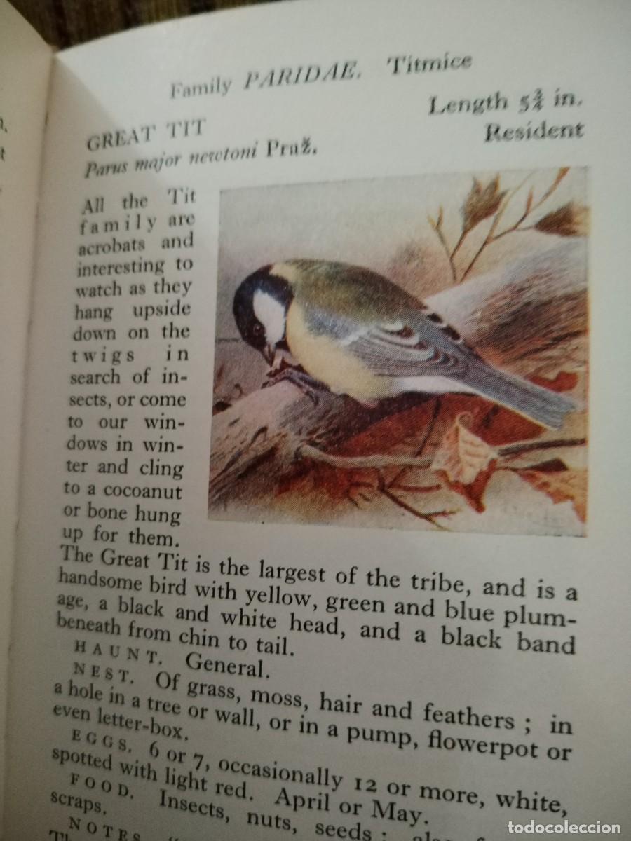 Libros de segunda mano: BIRDS LIBRO CONSULTA - Foto 15