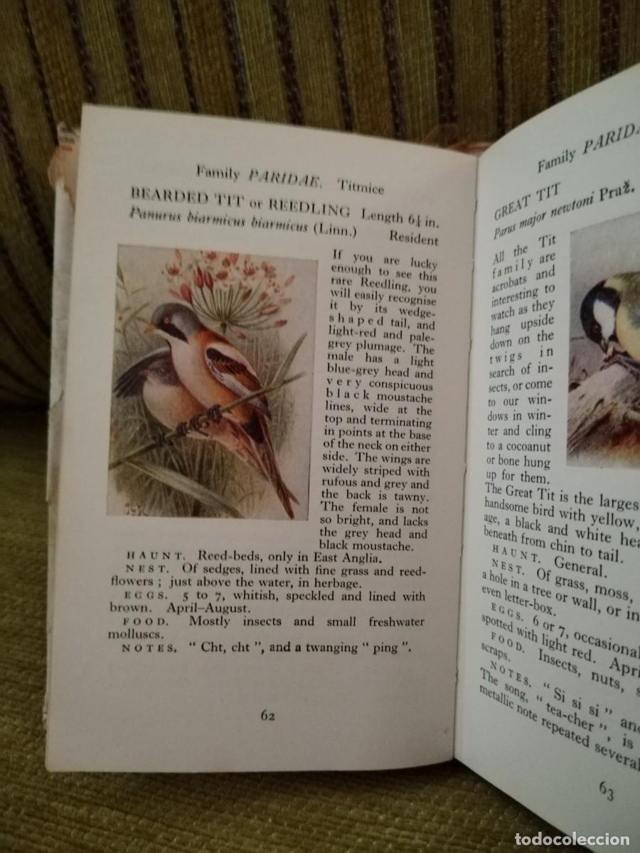 Libros de segunda mano: BIRDS LIBRO CONSULTA - Foto 16