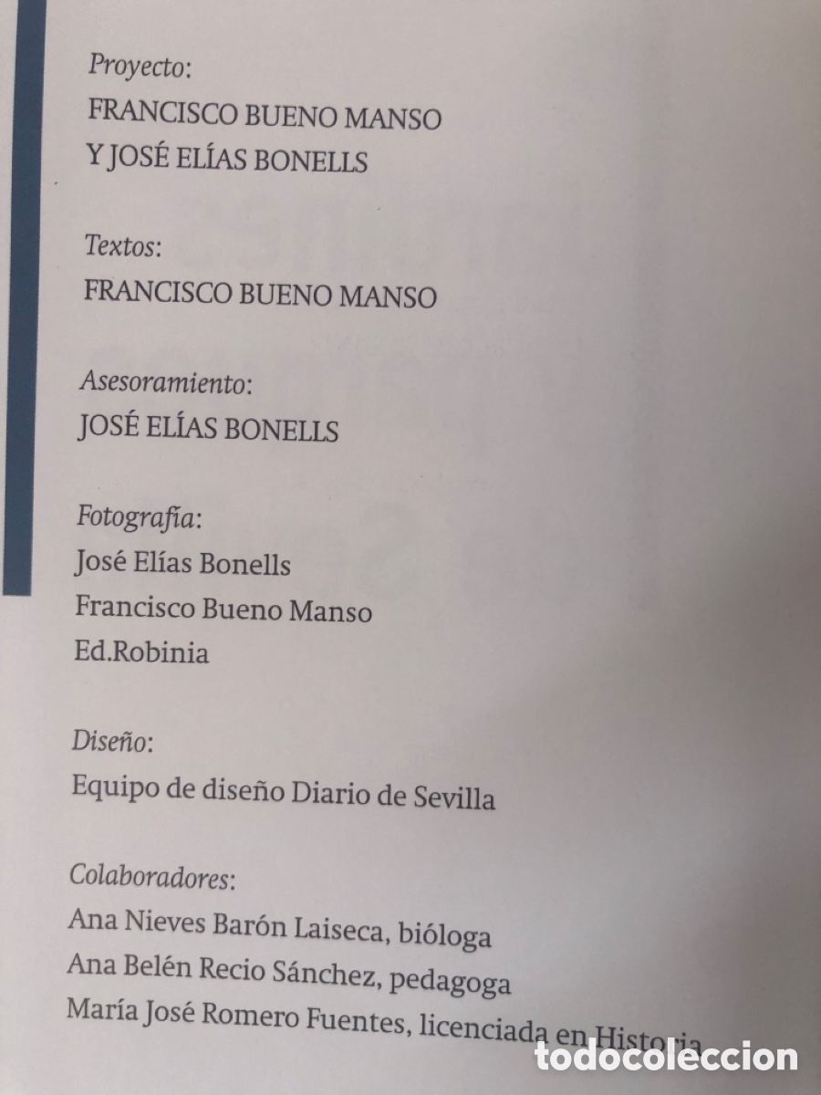 Libros de segunda mano: JARDINES Y PARQUES DE SEVILLA - Foto 5