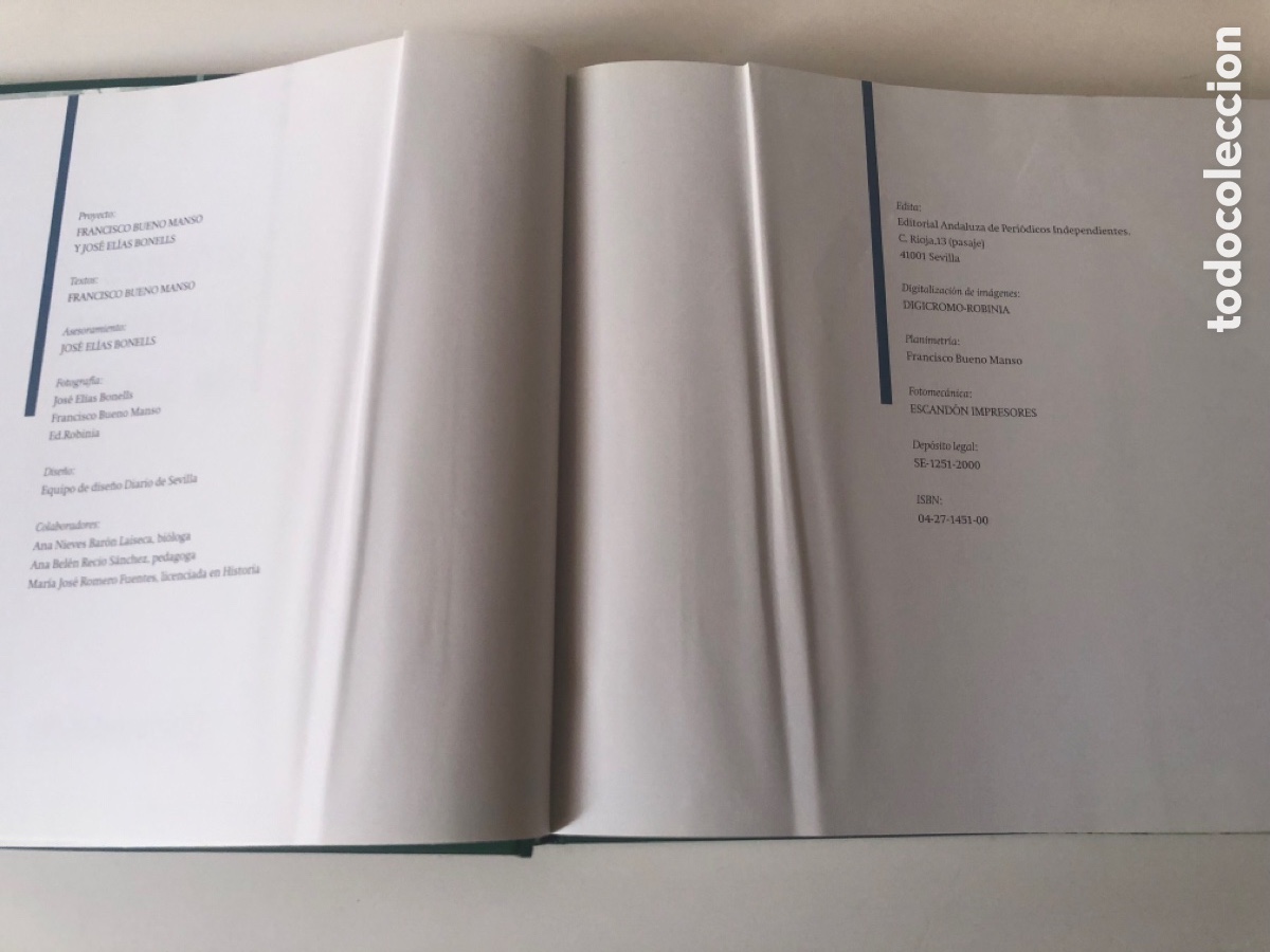 Libros de segunda mano: JARDINES Y PARQUES DE SEVILLA - Foto 6