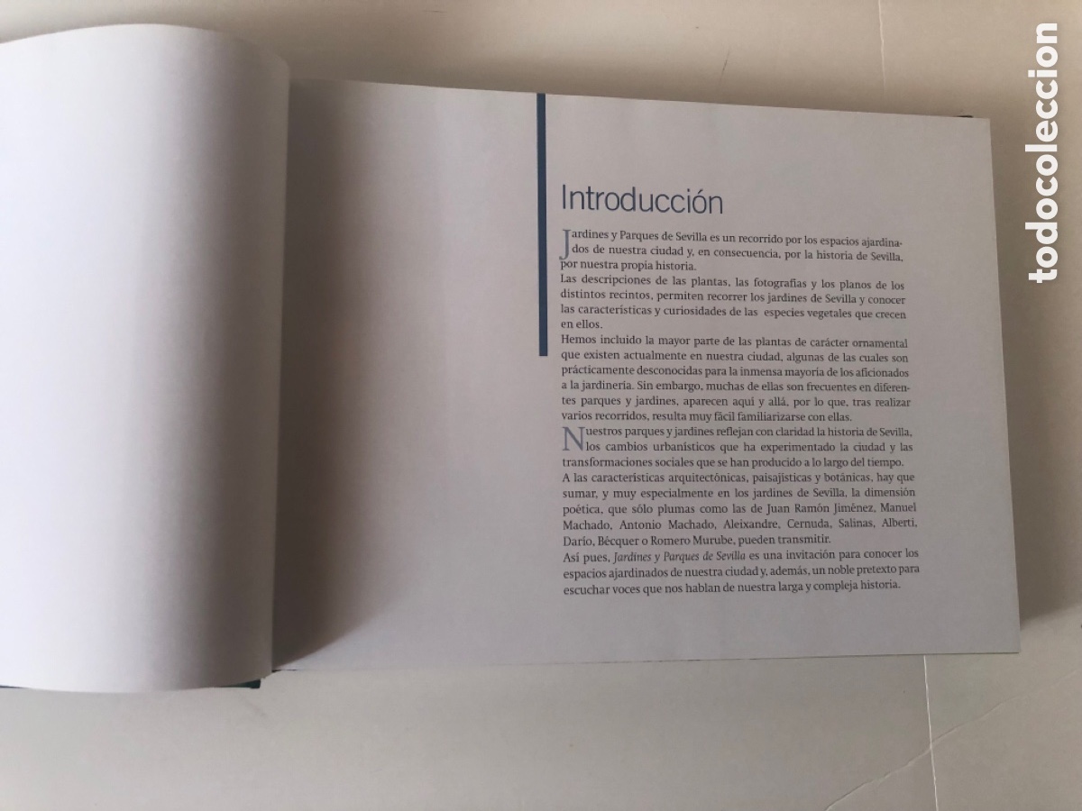 Libros de segunda mano: JARDINES Y PARQUES DE SEVILLA - Foto 8