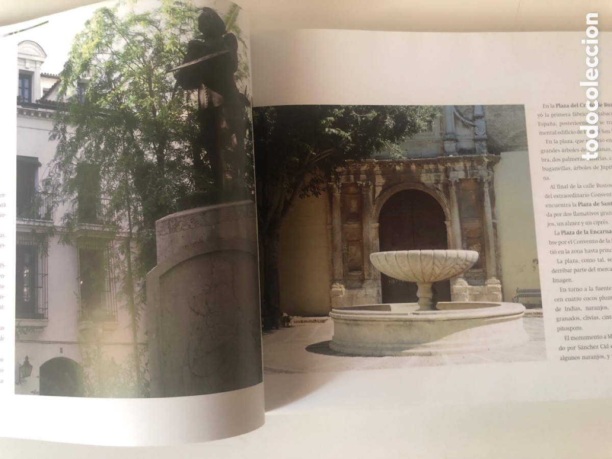 Libros de segunda mano: JARDINES Y PARQUES DE SEVILLA - Foto 9