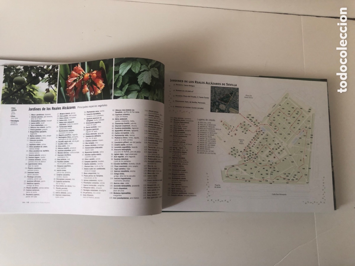 Libros de segunda mano: JARDINES Y PARQUES DE SEVILLA - Foto 10