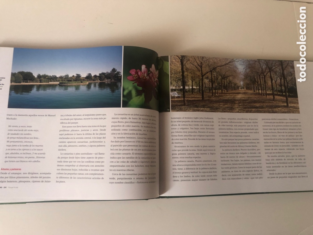 Libros de segunda mano: JARDINES Y PARQUES DE SEVILLA - Foto 12