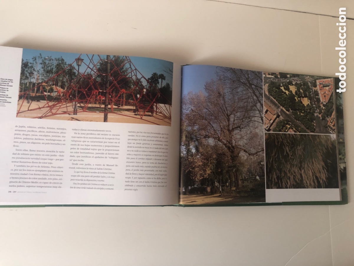 Libros de segunda mano: JARDINES Y PARQUES DE SEVILLA - Foto 13
