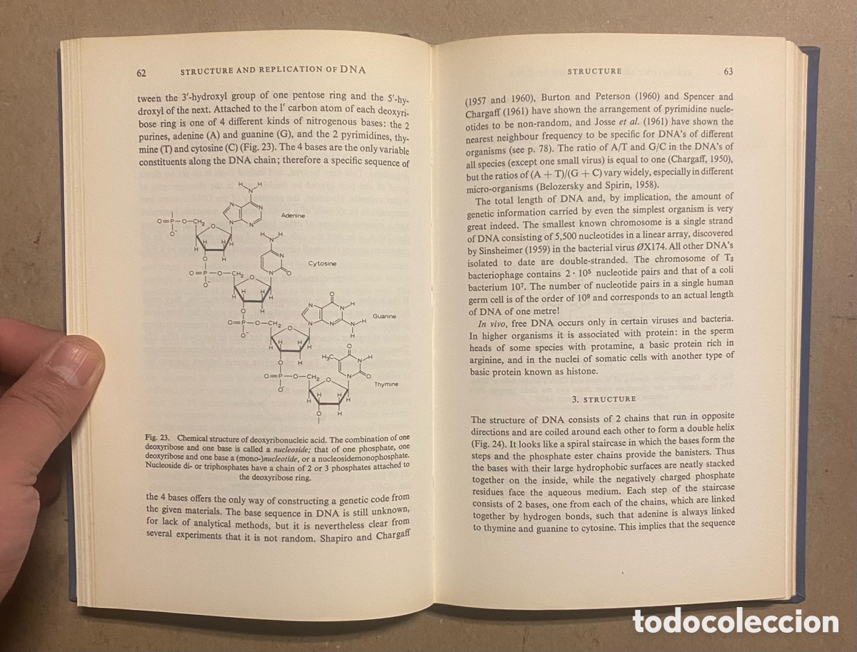 Libros de segunda mano: PROTEIN AND NUCLEIC ACIDS (STRUCTURE AND FUNCTION). M.F. PERUTZ. ELSEVIER PUBLISHING CO. 1962 - Foto 4