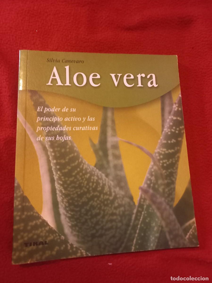 Libros de segunda mano: ALOE VERA - SILVIA CANEVARO - ED. TIKAL - RUSTICA - Foto 1
