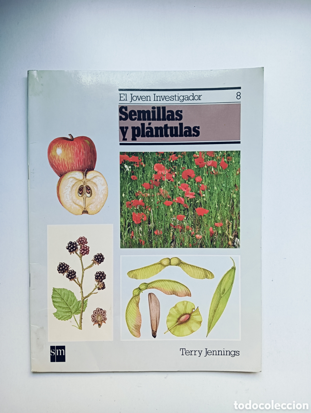 Libros de segunda mano: Semillas y plantulas. El joven investigador