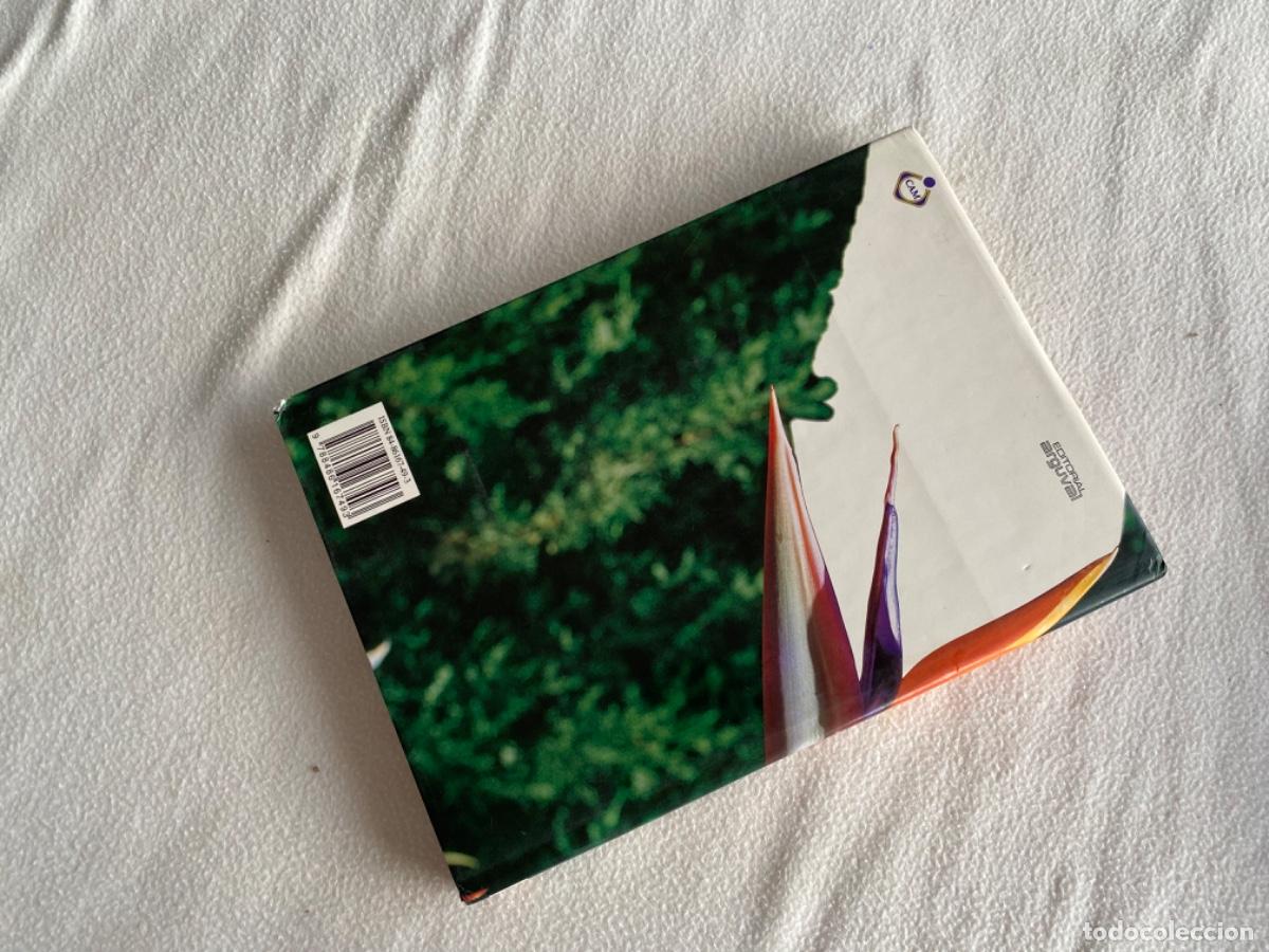 Libros de segunda mano: JARDINES DE M&Aacute;LAGA. Jos&eacute; Antonio del Ca&ntilde;izo - Foto 3