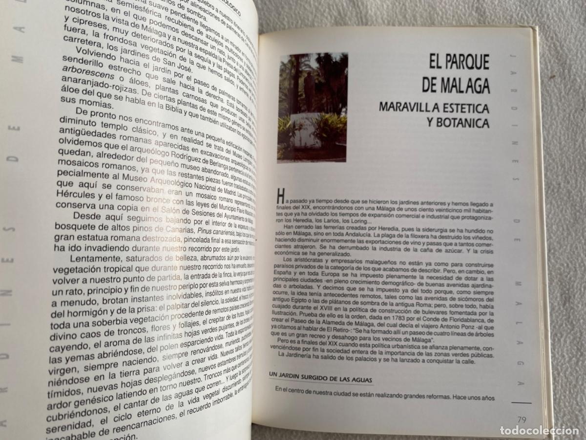 Libros de segunda mano: JARDINES DE M&Aacute;LAGA. Jos&eacute; Antonio del Ca&ntilde;izo - Foto 5