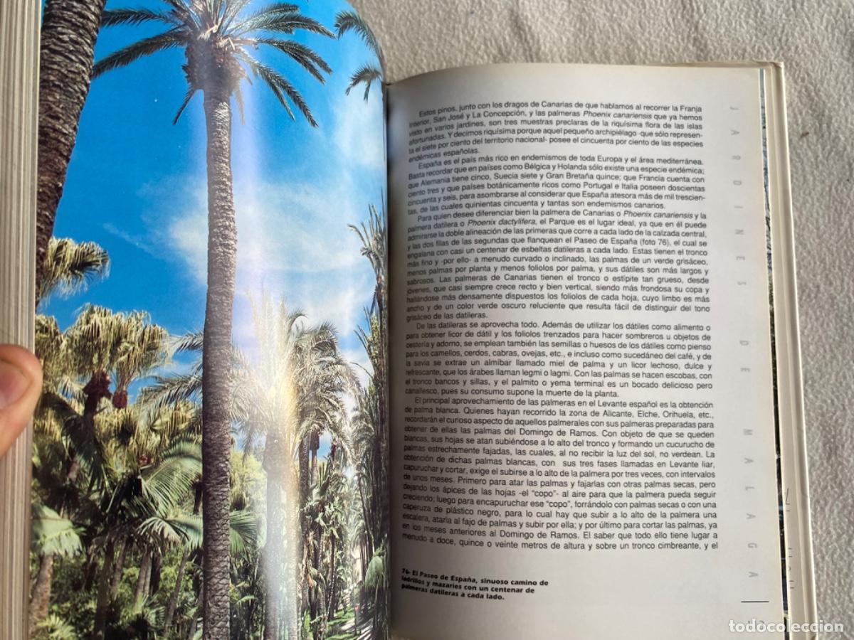 Libros de segunda mano: JARDINES DE M&Aacute;LAGA. Jos&eacute; Antonio del Ca&ntilde;izo - Foto 7