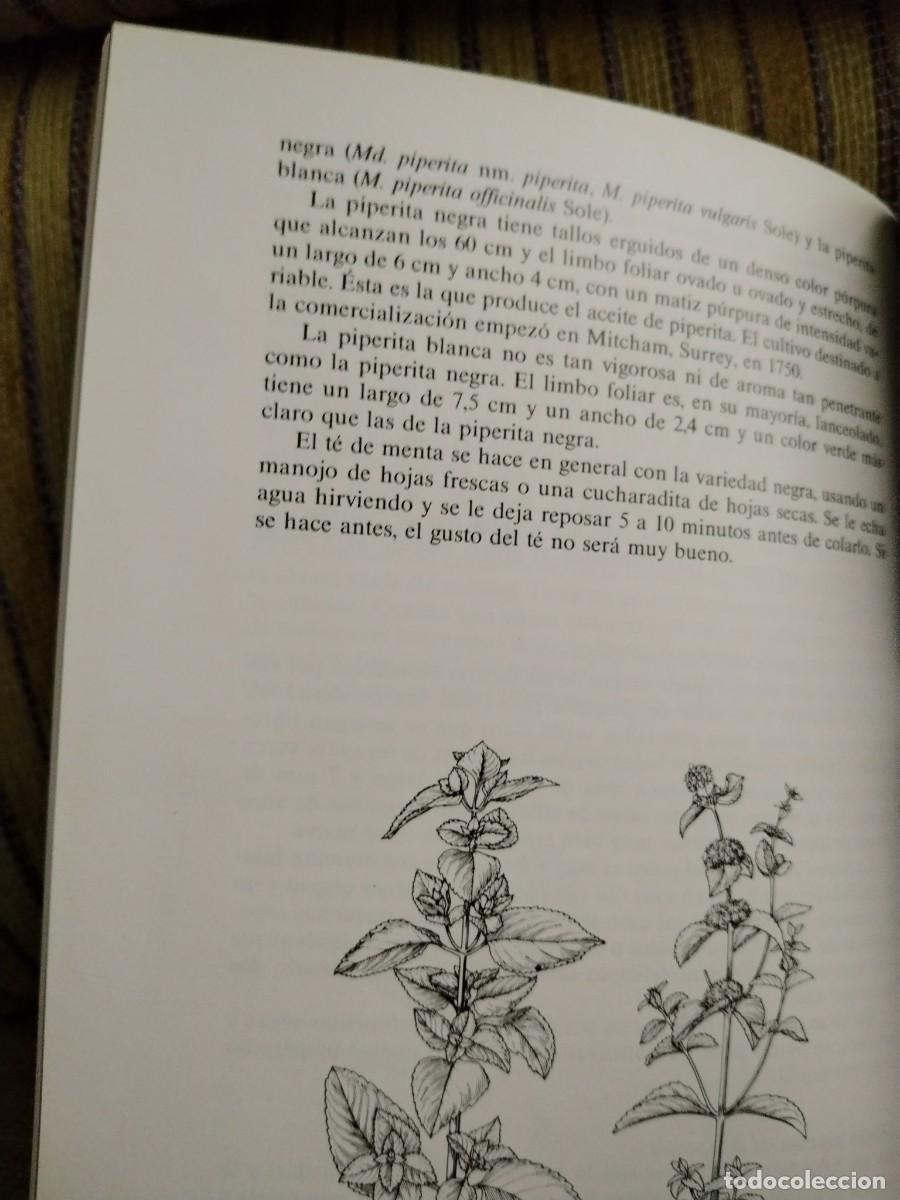 Libros de segunda mano: HIERBAS PARA COCINAR - Foto 8
