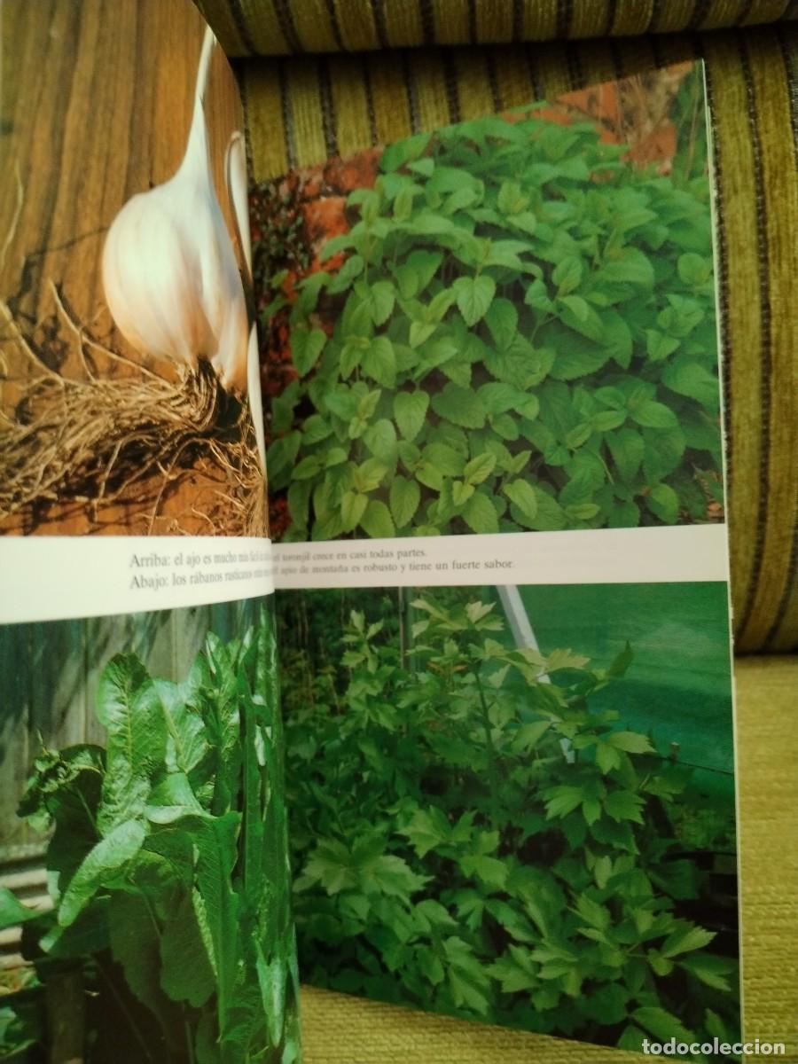 Libros de segunda mano: HIERBAS PARA COCINAR - Foto 9