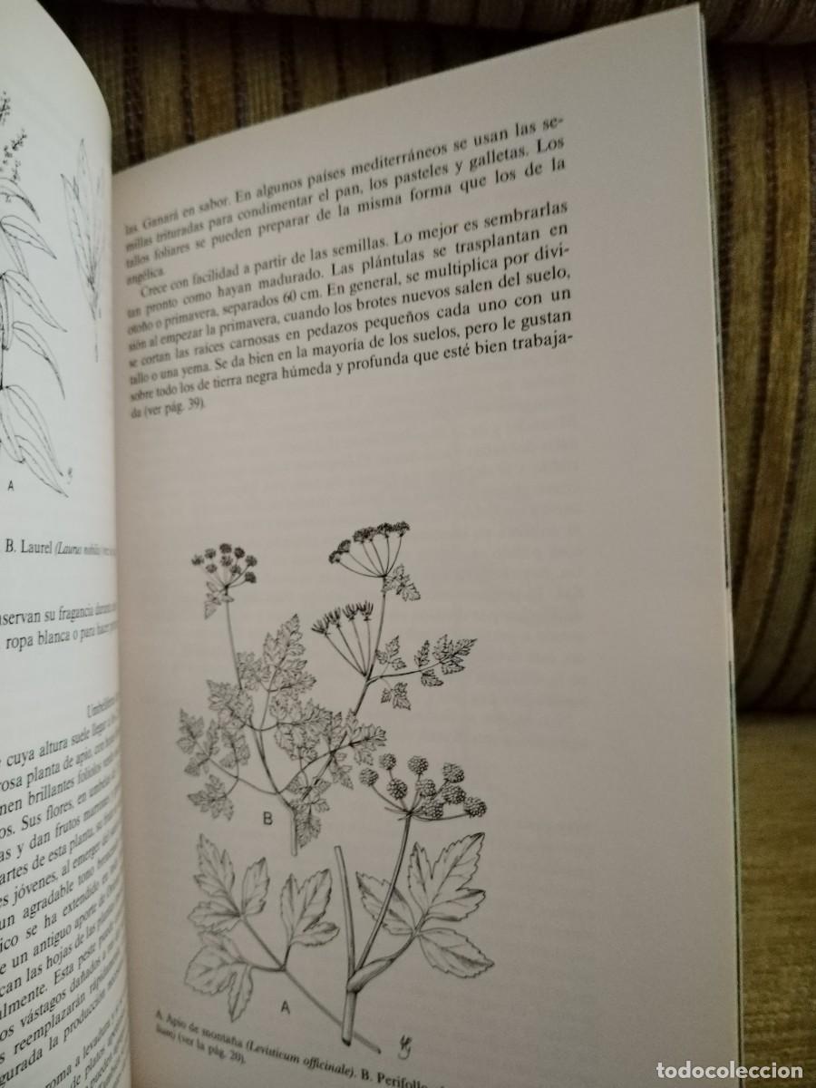 Libros de segunda mano: HIERBAS PARA COCINAR - Foto 10