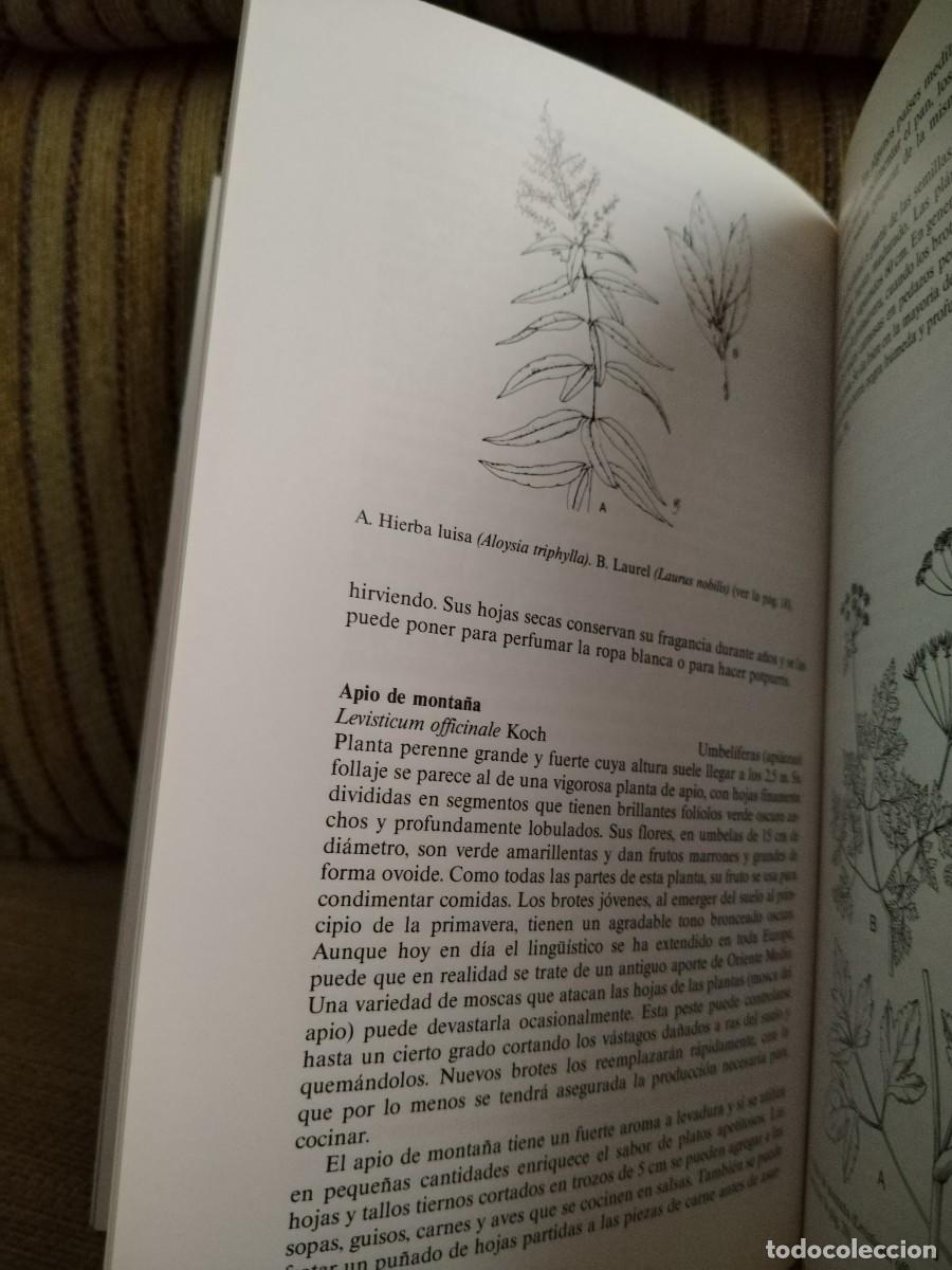 Libros de segunda mano: HIERBAS PARA COCINAR - Foto 11