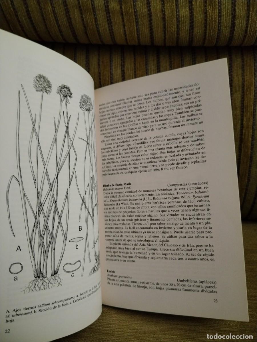Libros de segunda mano: HIERBAS PARA COCINAR - Foto 12