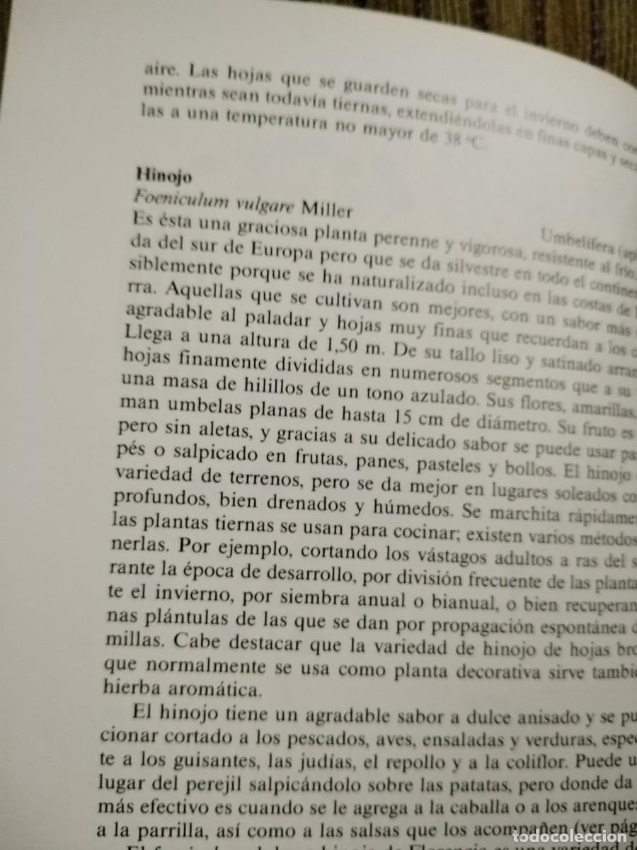 Libros de segunda mano: HIERBAS PARA COCINAR - Foto 13