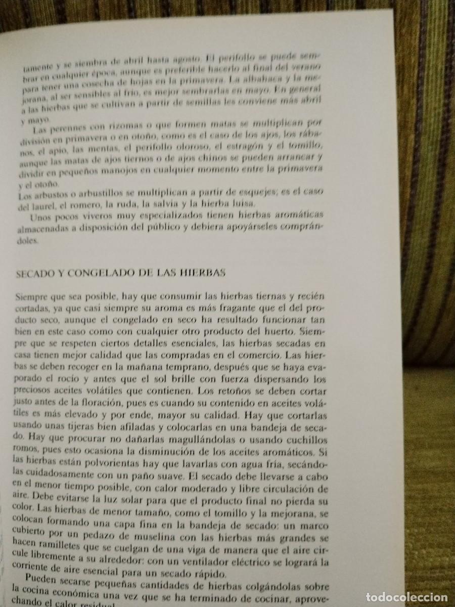 Libros de segunda mano: HIERBAS PARA COCINAR - Foto 14