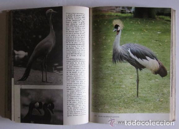 Libros de segunda mano: GRAN ENCICLOPEDIA ILUSTRADA DE LAS AVES - Foto 7