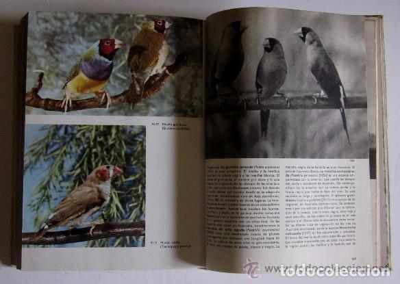 Libros de segunda mano: GRAN ENCICLOPEDIA ILUSTRADA DE LAS AVES - Foto 9