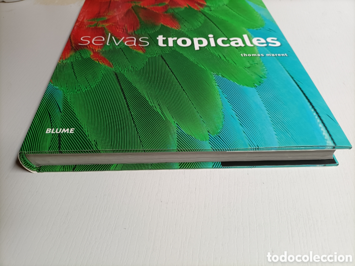 Libros de segunda mano: Selvas tropicales Thom&aacute;s Marent..... ENV&Iacute;O GRATIS CERT ESPA&Ntilde;A PEN&Iacute;NSULA - Foto 3