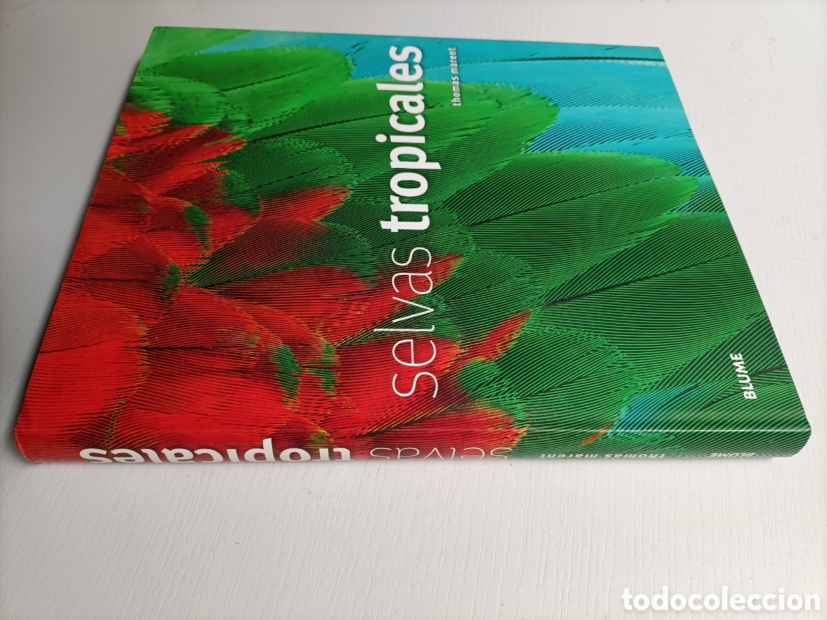 Libros de segunda mano: Selvas tropicales Thom&aacute;s Marent..... ENV&Iacute;O GRATIS CERT ESPA&Ntilde;A PEN&Iacute;NSULA - Foto 1