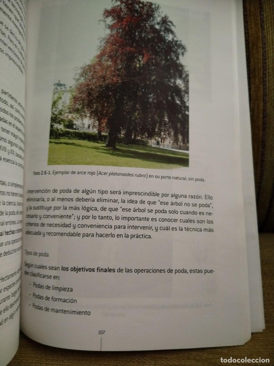 Libros de segunda mano: MANTENIMIENTO Y MEJORA DE ELEMENTOS VEGETALES - Foto 11
