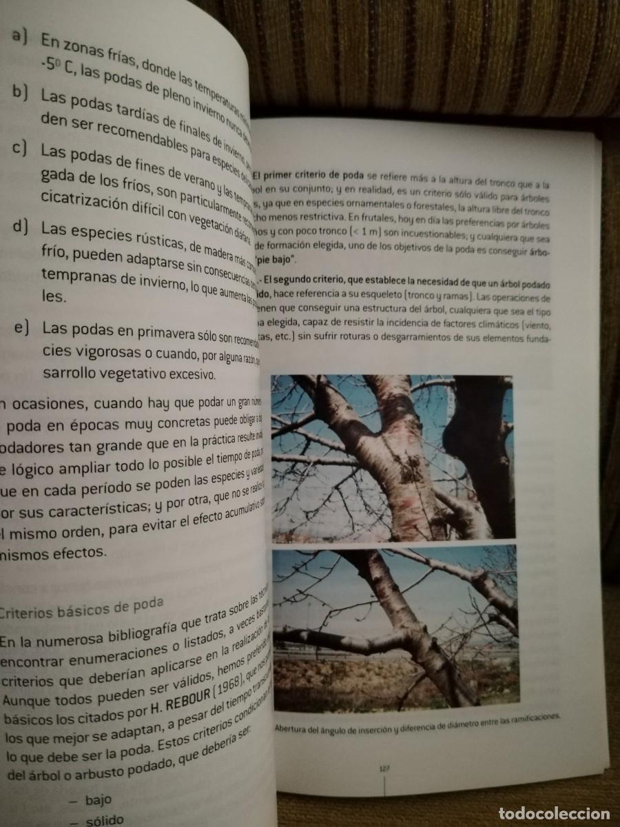 Libros de segunda mano: MANTENIMIENTO Y MEJORA DE ELEMENTOS VEGETALES - Foto 13