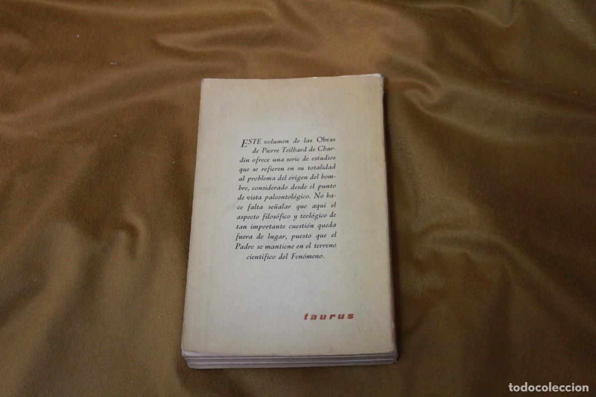 Libros de segunda mano: La aparici&oacute;n del hombre,Teilhard de Chardin.Taurus. 1965. - Foto 2