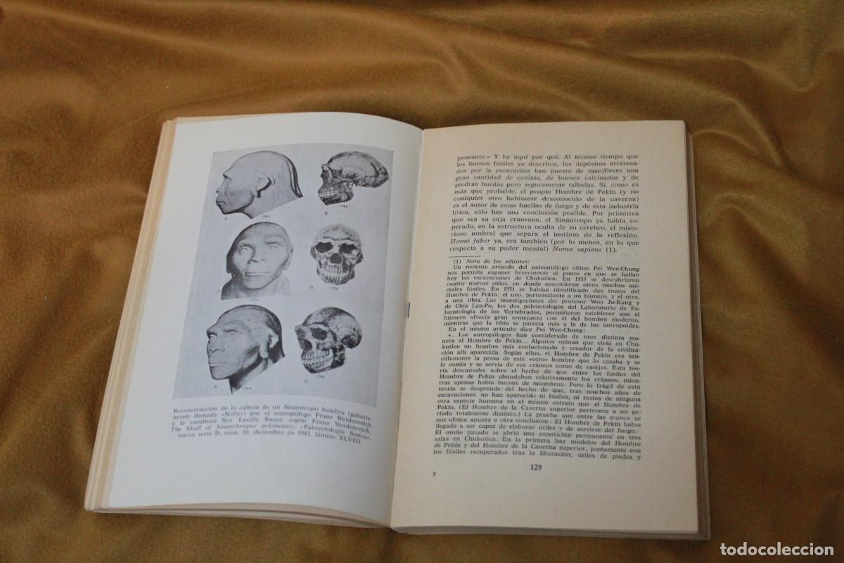 Libros de segunda mano: La aparici&oacute;n del hombre,Teilhard de Chardin.Taurus. 1965. - Foto 4