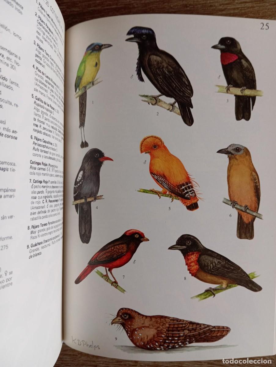 Libros de segunda mano: UNA GUIA DE LAS AVES DE VENEZUELA - Foto 2