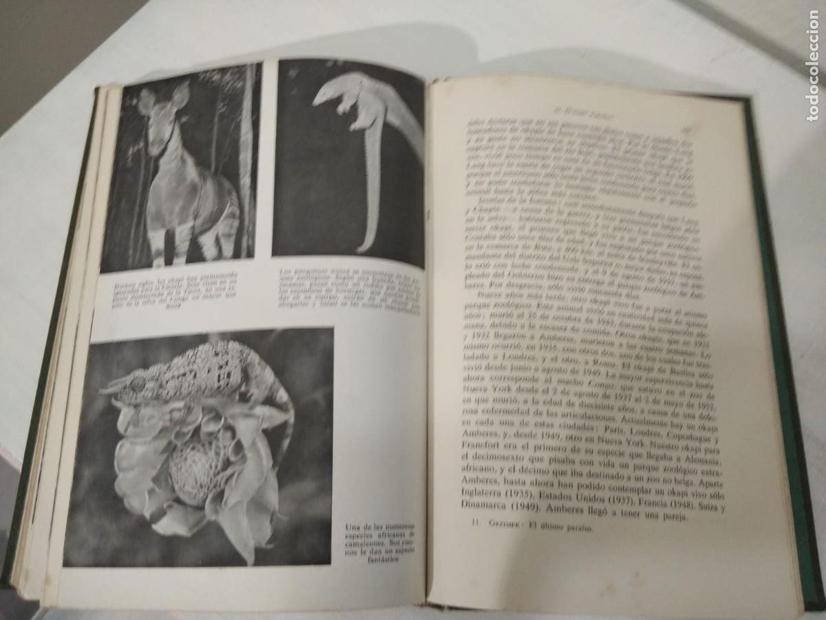 Libros de segunda mano: EL &Uacute;LTIMO PARA&Iacute;SO DE LOS ANIMALES SALVAJES - Foto 9